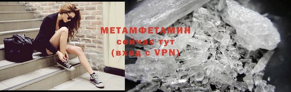 гидра Аркадак