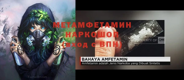 гидра Аркадак