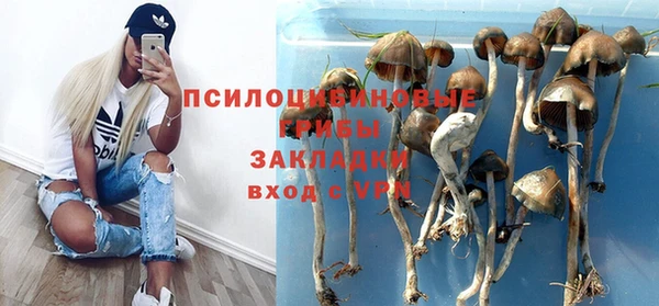 гидра Аркадак