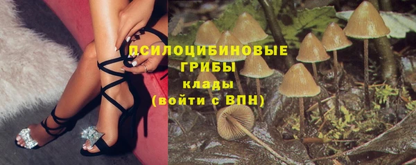 гидра Аркадак