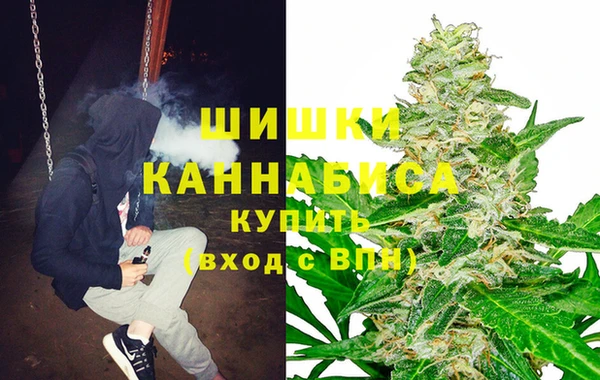 гидра Аркадак