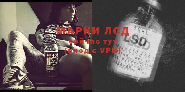 гидра Аркадак