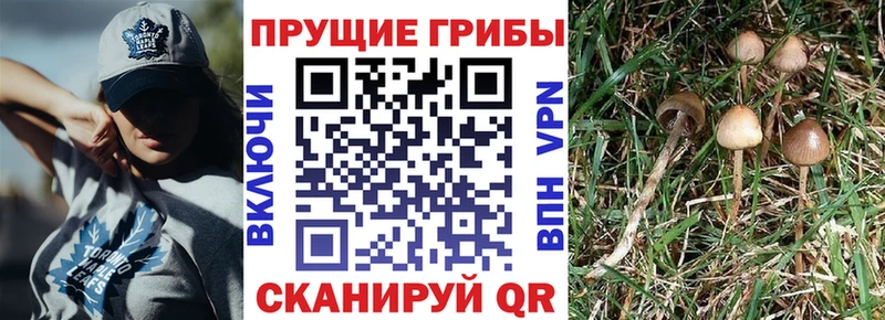 наркошоп  Лангепас  Галлюциногенные грибы MAGIC MUSHROOMS 